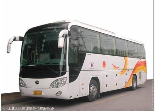 天津至惠州汽車出行全攻略 時(shí)刻查詢、站點(diǎn)指南與票務(wù)服務(wù)